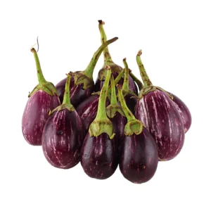Brinjal - Violet