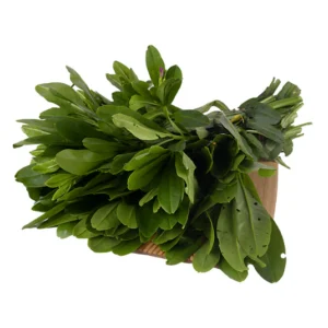 Ceylon Pasalai (1Bunch)