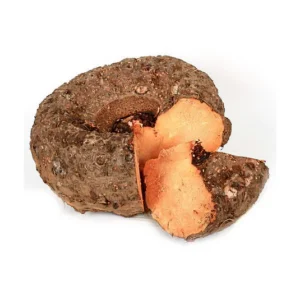 Elephant  Yam