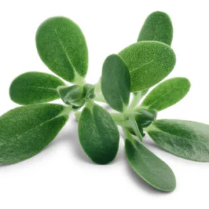 Paruppu Keerai (1Bunch)