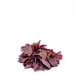 Red ThanduKeerai (1Bunch)