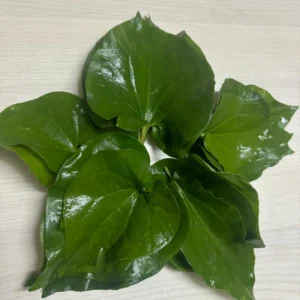Thippili Leaves (1Bunch)