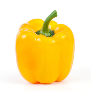 Capsicum - Yellow