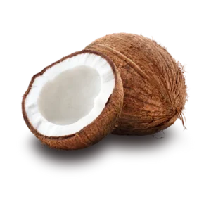 Coconut