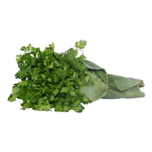 Coriander